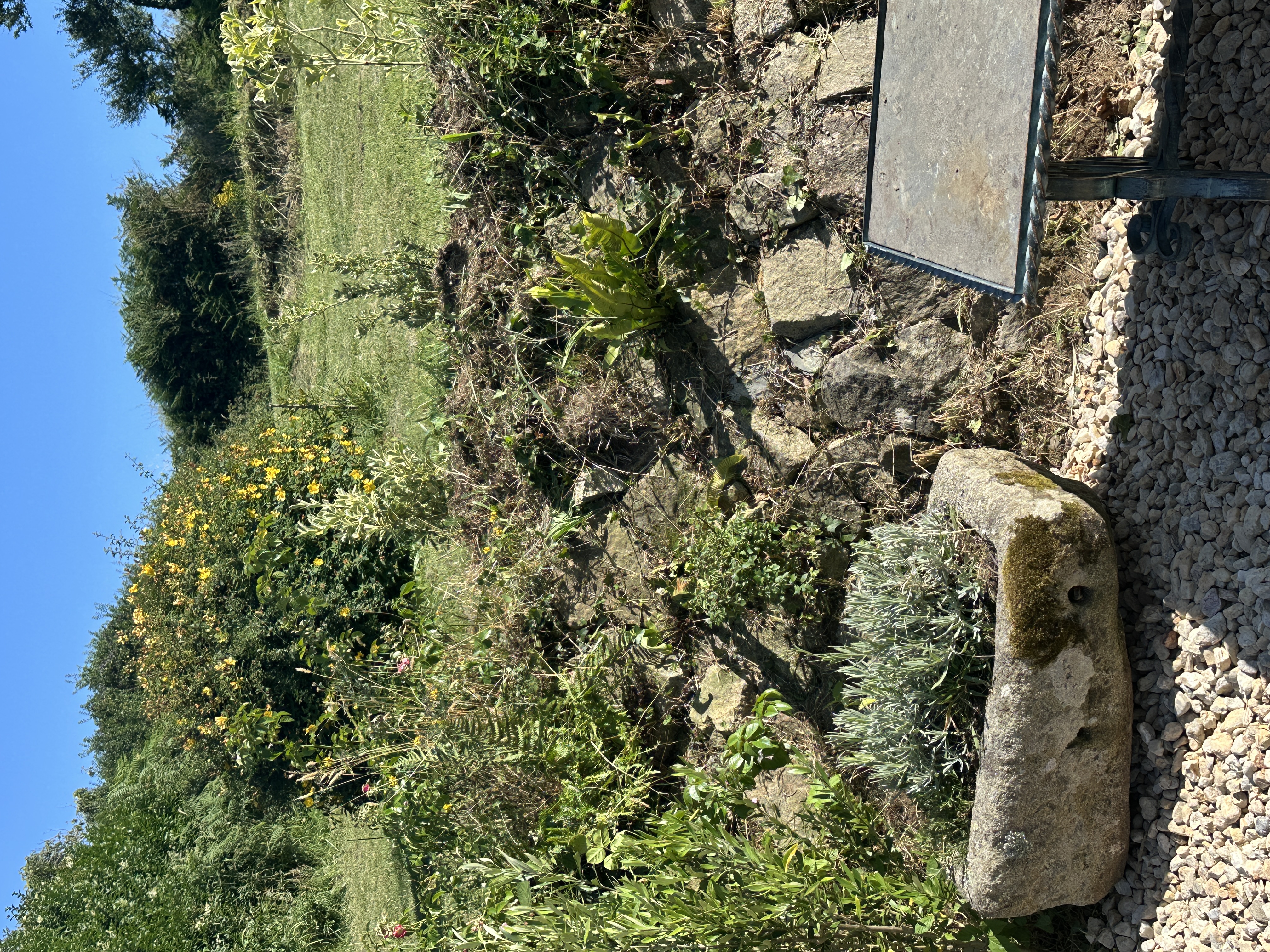 Vue d'ensemble